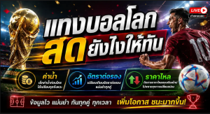 ค่าน้ำ/อัตราต่อรอง แทงบอลโลกสด ราคาไหล แทงยังไงให้ทัน?